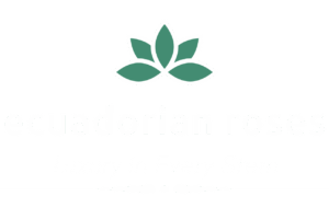 Wholesale Ecuadorian Roses Direct – Farm Fresh Roses Shipped to USA